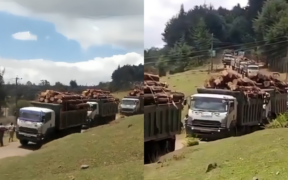 Justin Muturi Calls Out Aberdare Logging as Residents Fear Water Crisis, Sawmillers Defend Cuts
