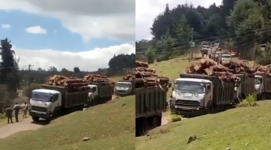 Justin Muturi Calls Out Aberdare Logging as Residents Fear Water Crisis, Sawmillers Defend Cuts
