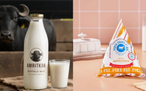 What Happens to Your Body When You Drink Buffalo Milk