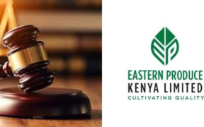 Court of Appeal Quashes Order to Revoke Eastern Produce’s Nandi Land Title