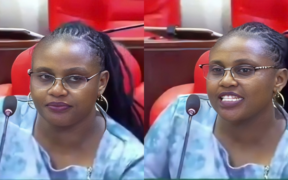 A photo collage of Nyandarua MCA Milka Nyambura during vetting for Patrick Ndung’u Kabugi, a nominee for Chief Officer of Youth Affairs, Sports and Innovation on October 8, 2026. PHOTO/ Screengrab